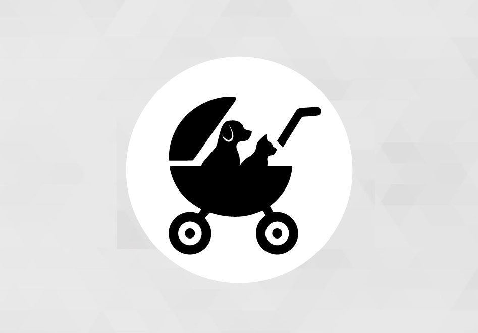  Pets stroller service 